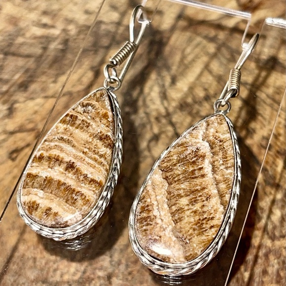 Teardrop Shape Aragonite Earrings 2” - Picture 2 of 10